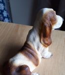 Chien décoratif Basset Hound