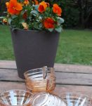 6 tasses café, art déco, abricot clair irisées, gondolo