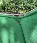 Exécutive chair Charles Pollock 