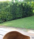 Carafe/pichet en grès vernissé, Digoin France 1950/1960