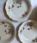 12 assiettes creuses « Schuman Arzberg »