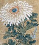 Estampe époque Quing  