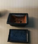 Petit Pot à bonsaï 