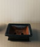 Petit Pot à bonsaï 
