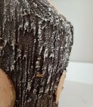  bouteille à liqueur musicale