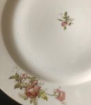 10 assiettes à décor d'oiseaux