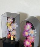 Deux décorations lumineuses Changement instantané de couleur