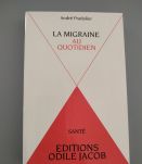 La migraine au quotidien André Pradalier