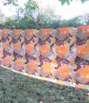 Nappe rectangulaire et ses 6 serviettes - Années 60/70