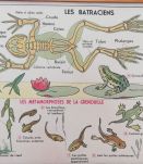 Affiche scolaire vintage MDI