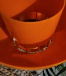 2 Suspensions  Nordisk Solar orange