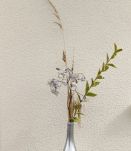 Bouteilles décoratives événements 