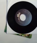 Vinyle Steve Forbert Jackrabbit Slim de 1981 et 45T oil song