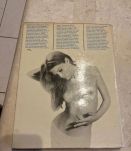British Journal of Photography Annual - 1969 (Ref. 2024-295)