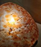 lampe bronze style art nouveau 1975 a 85  abat jour verre de