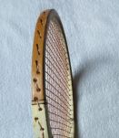 Ancienne Raquette de Tennis - Vintage- Tendance déco
