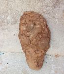 concretion appelée gogotte