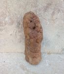 concretion appelée gogotte