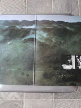 vinyle Stingray de Joe Cocker