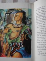 Livre "Le dernier des Mohicans" d'après Fenimore COOPER