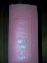 Notre Dame de Paris - Victor Hugo