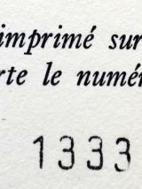 Le Livre Des Merveilles  Marco Polo