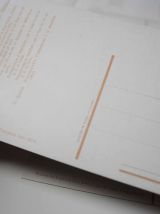 lot de 10 cartes postales vintage Napoléon 