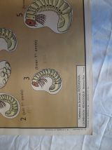 Affiche pédagogique scolaire Rossignol école