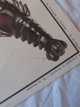 Affiche pédagogique scolaire Rossignol école