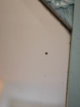 Miroir bseauté vintage