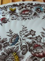 plat porcelaine Anglaise - RIDGWAY -