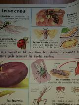 Affiche scolaire edition mdi 