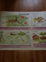 Affiche scolaire edition mdi 