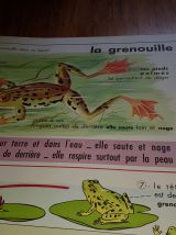 Affiche scolaire edition mdi 