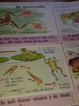 Affiche scolaire edition mdi 