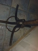 Porte manteau perroquet 