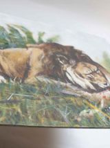 tableau peint lion