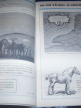 ouvrage sur le  cheval boulonnais 