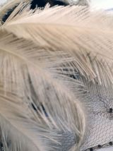 Chapeau en velours bibi à plumes d'autruche vintage 40's