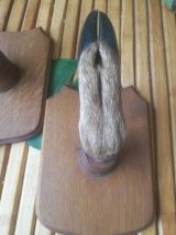 taxidermie-porte fusil patte de chevreuil-patère