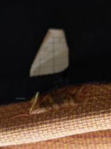 chaise geoffrey d'harcourt pour artifort à restaurer