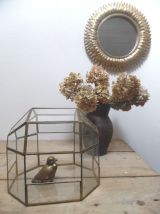 vitrine ou serre en verre et laiton