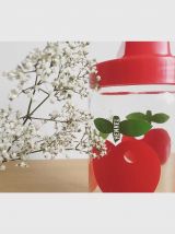 Pots Henkel et Félix Potin