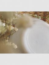 Bols arcopal Disney Blanche-Neige