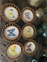Dessous de verres en rotin papillons naturalisés