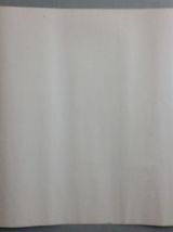 Affiche promotionnelle originale David Bowie 1980 alabama 