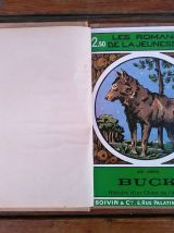 Jack london - Buck histoire d'un chien de l'Alaska