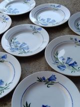 9 assiettes plates "bleuets"