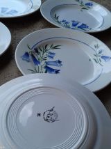 9 assiettes plates "bleuets"