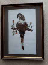 Tableau vintage en ailes de papillons, perroquets